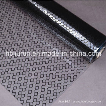 Rideau transparent de bandes de PVC antistatique de grille